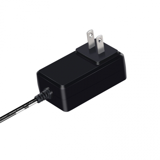 Wall 24V1A DC Adapter Plug for Christmas Lights